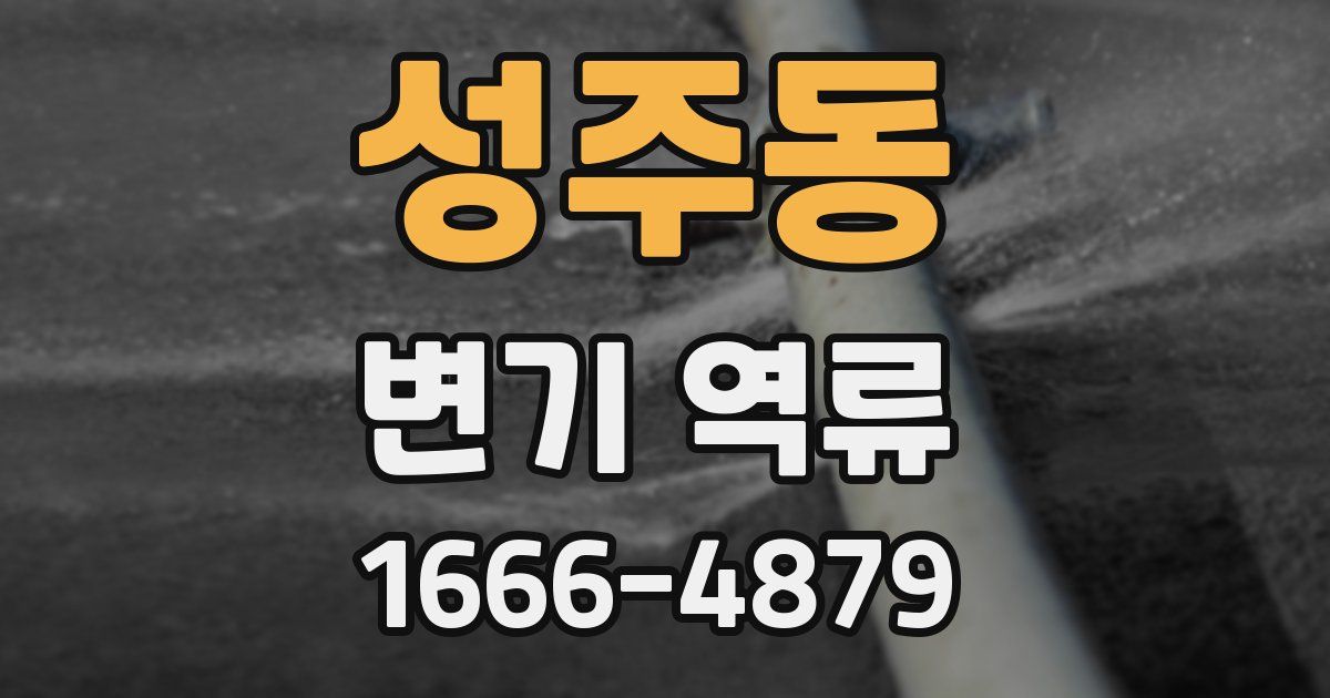 성주동 변기 역류