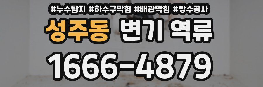 성주동 변기 역류