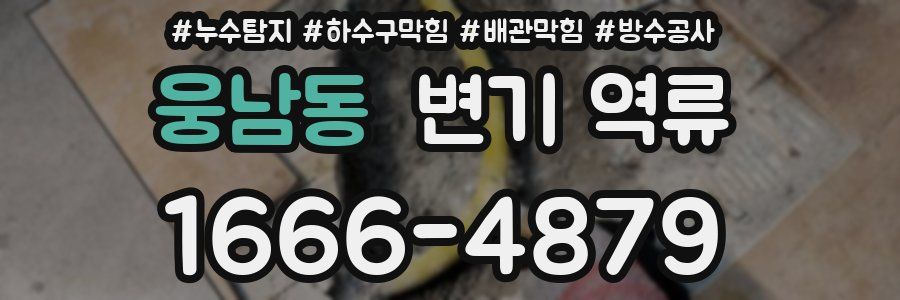 웅남동 변기 역류
