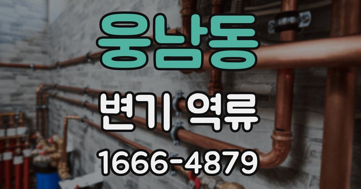 웅남동 변기 역류