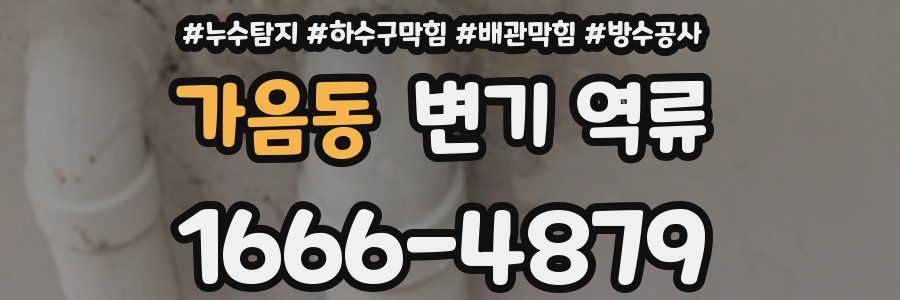 가음동 변기 역류