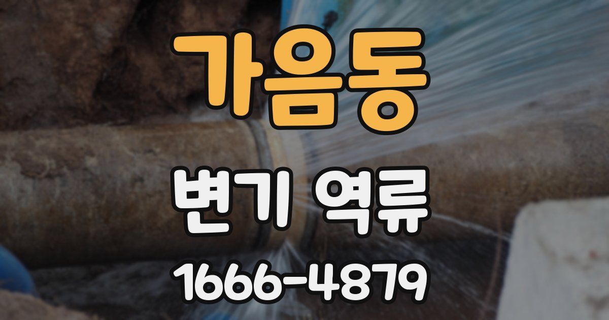 가음동 변기 역류