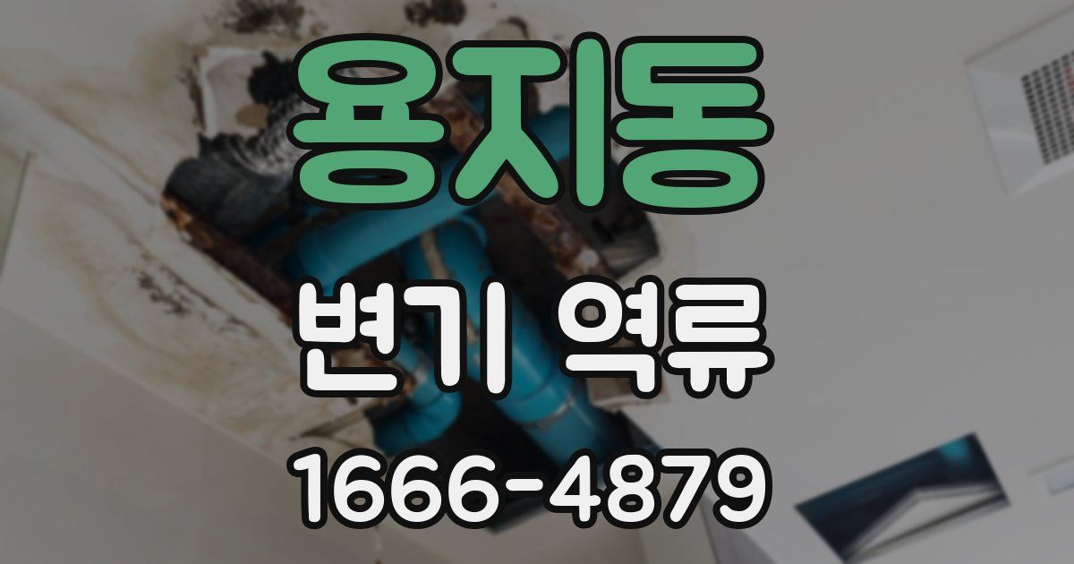 용지동 변기 역류