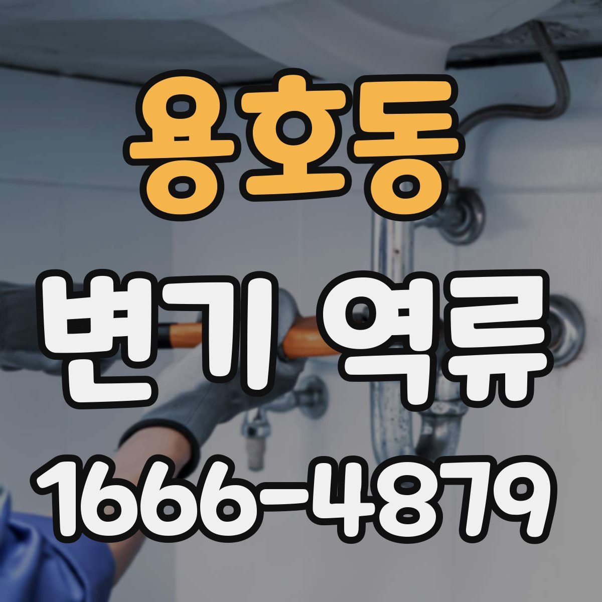 용호동 변기 역류