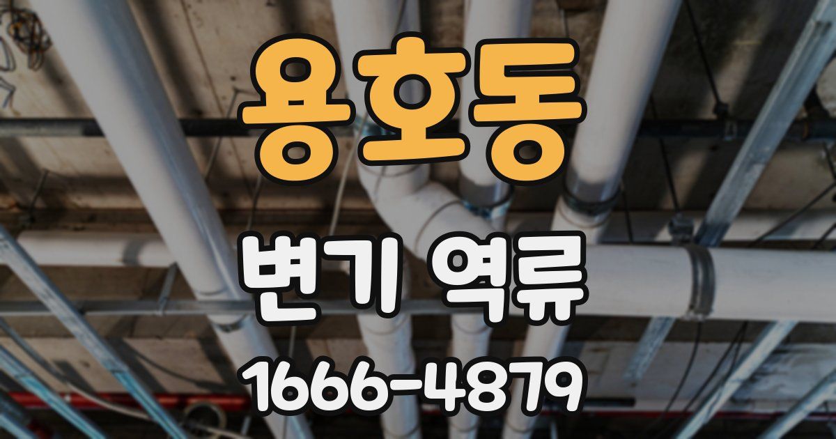 용호동 변기 역류