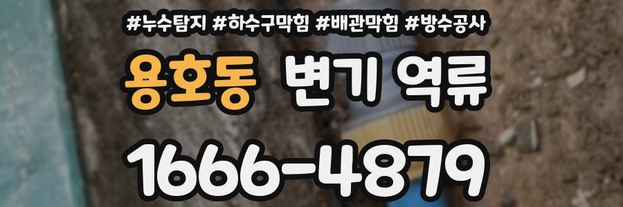 용호동 변기 역류