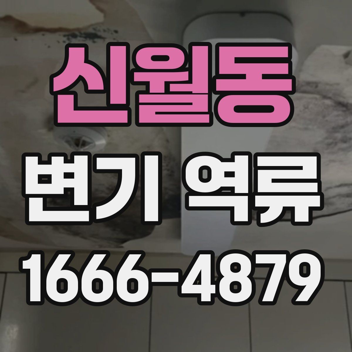 신월동 변기 역류 시 배관 상태 확인 포인트
