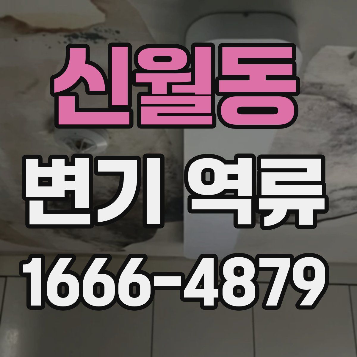 신월동 변기 역류