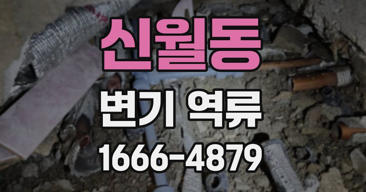 신월동 변기 역류