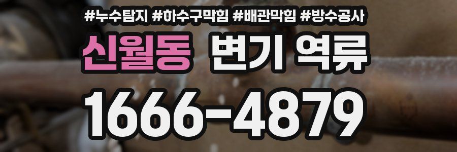 신월동 변기 역류