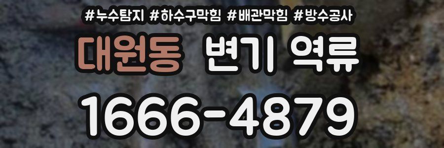 대원동 변기 역류