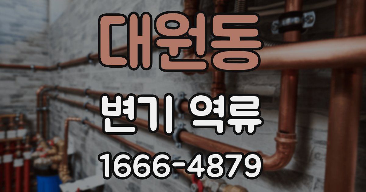 대원동 변기 역류