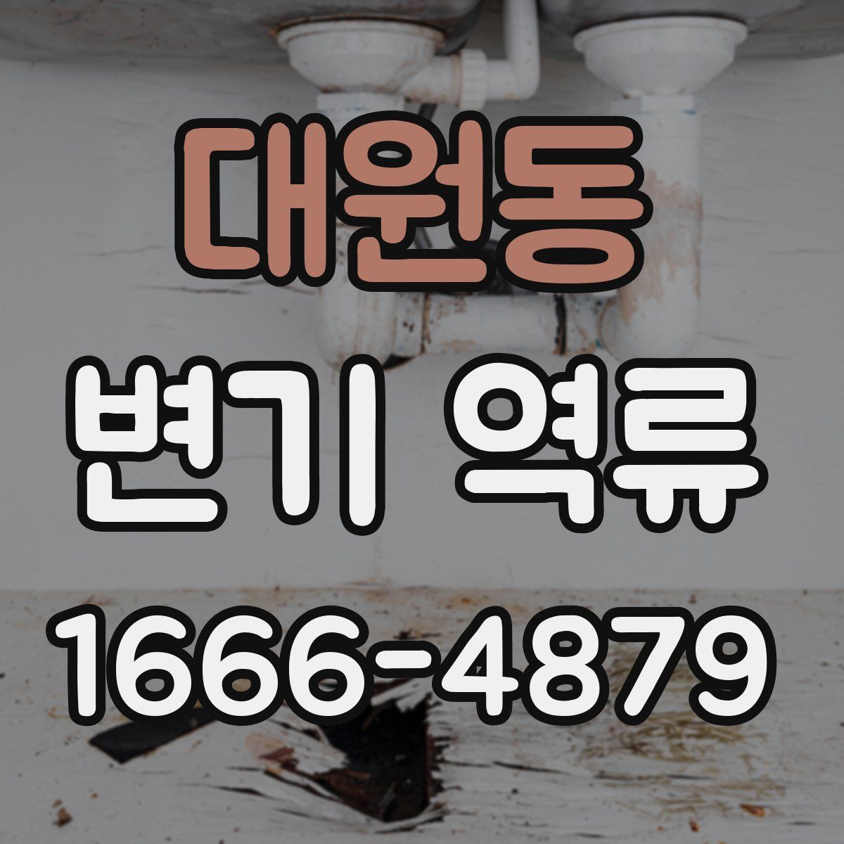 대원동 변기 역류