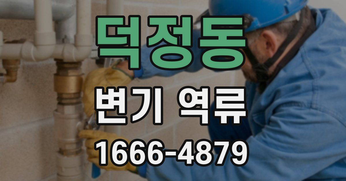덕정동 변기 역류