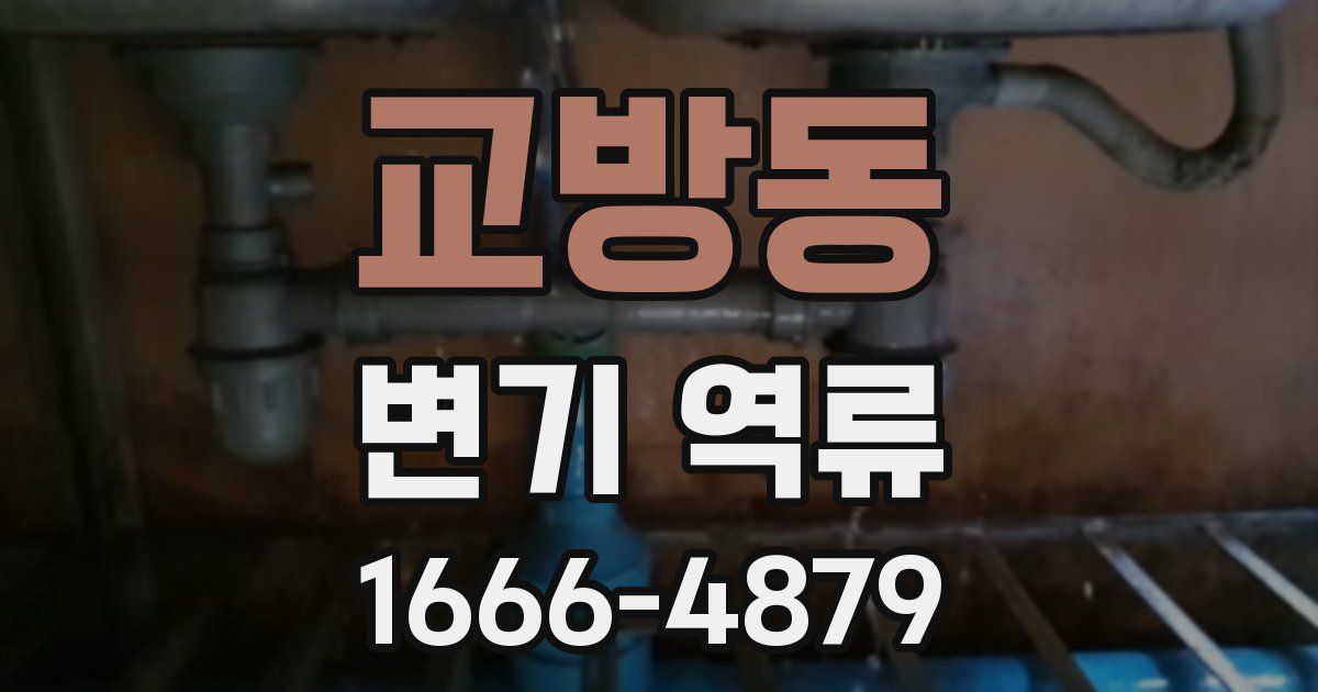 교방동 변기 역류