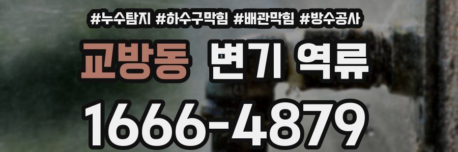 교방동 변기 역류