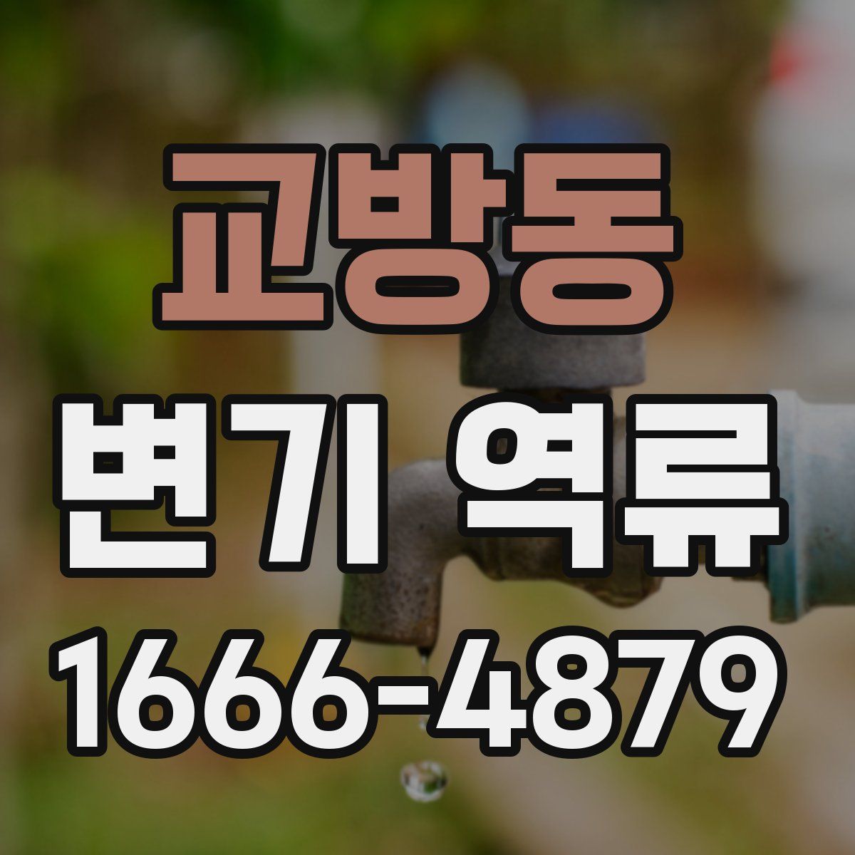 교방동 변기 역류