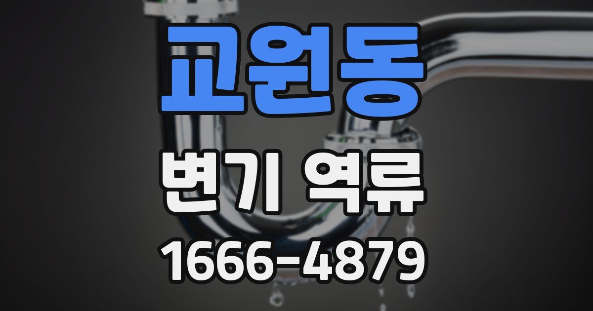 교원동 변기 역류