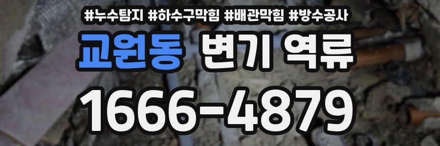 교원동 변기 역류