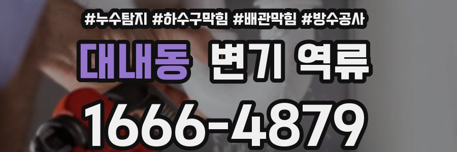 대내동 변기 역류