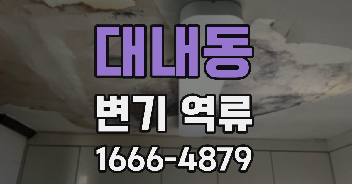 대내동 변기 역류