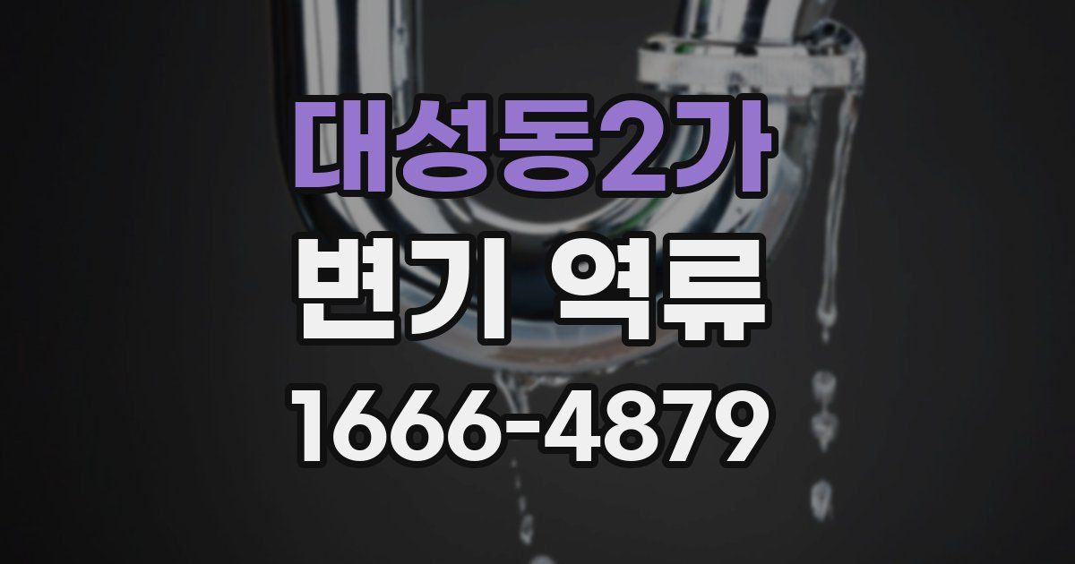대성동2가 변기 역류