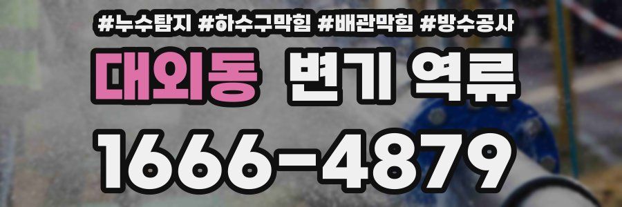 대외동 변기 역류