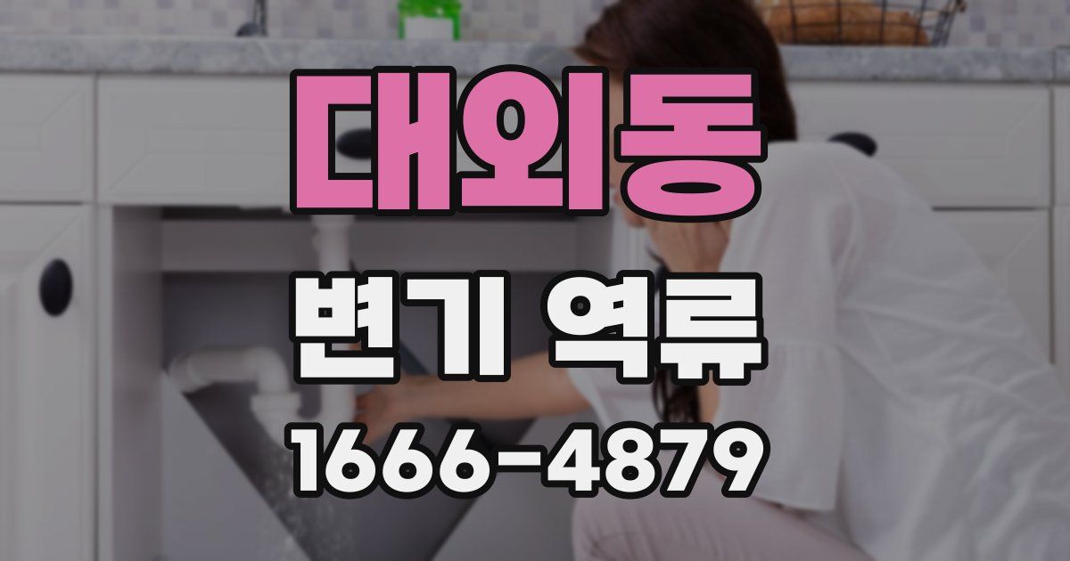 대외동 변기 역류