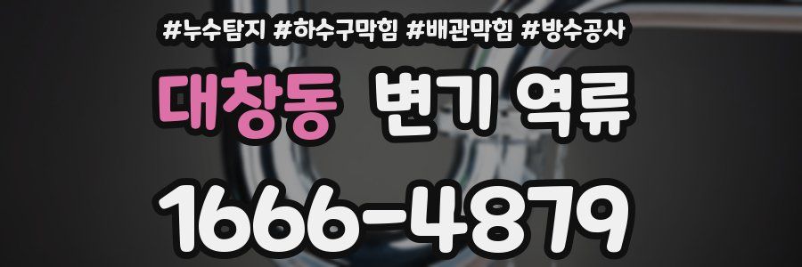 대창동 변기 역류