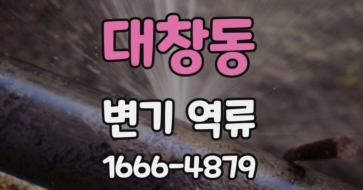 대창동 변기 역류