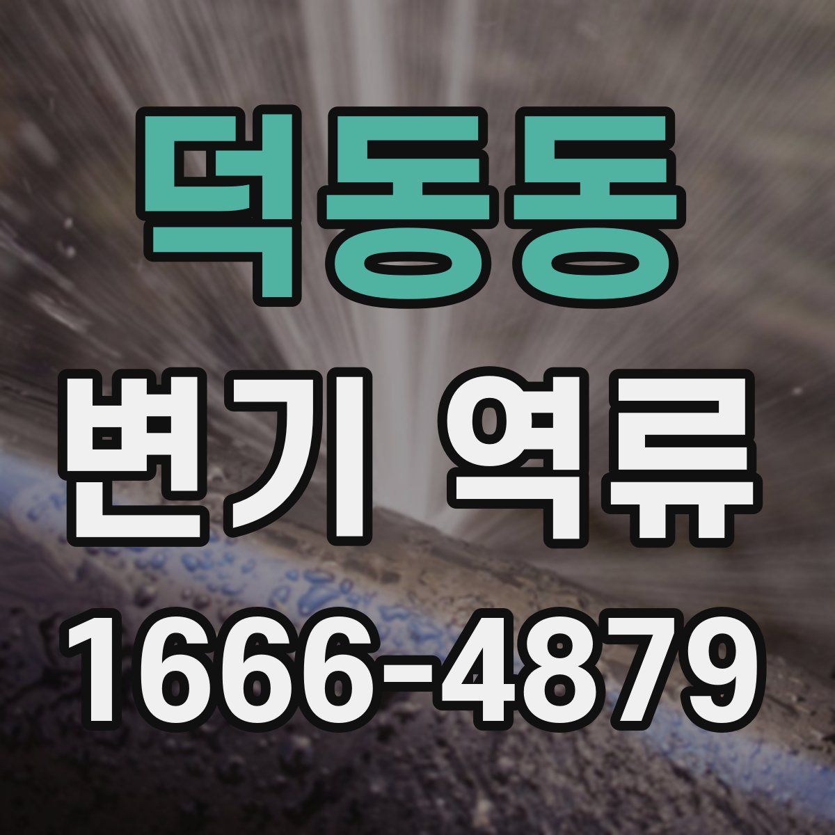 덕동동 변기 역류