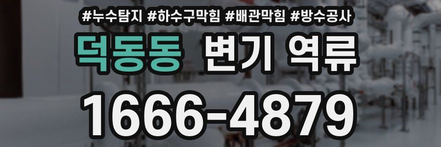 덕동동 변기 역류