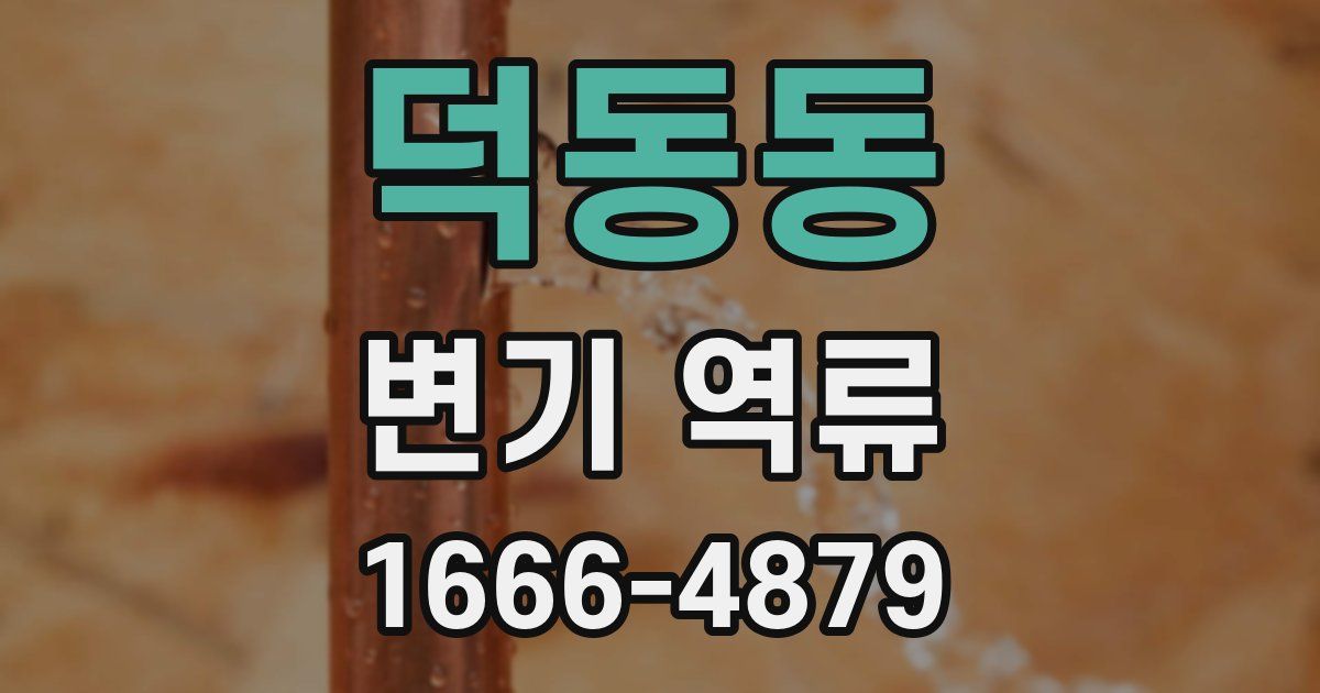 덕동동 변기 역류