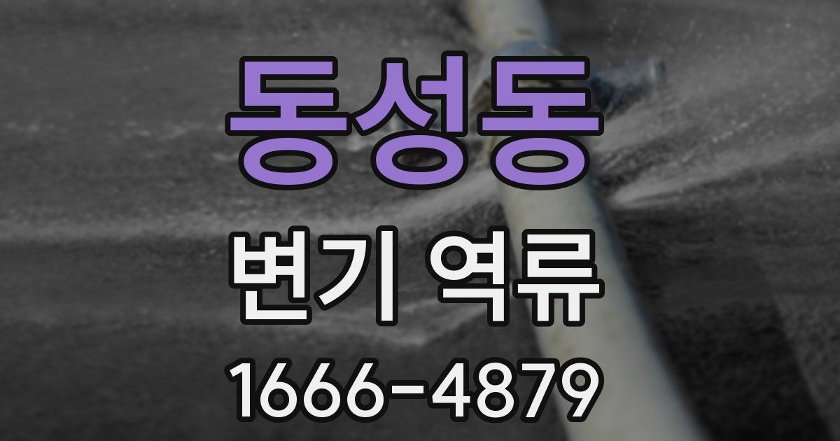 동성동 변기 역류