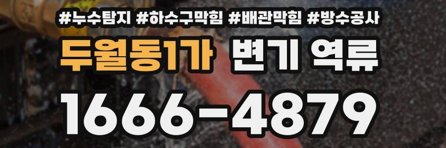 두월동1가 변기 역류