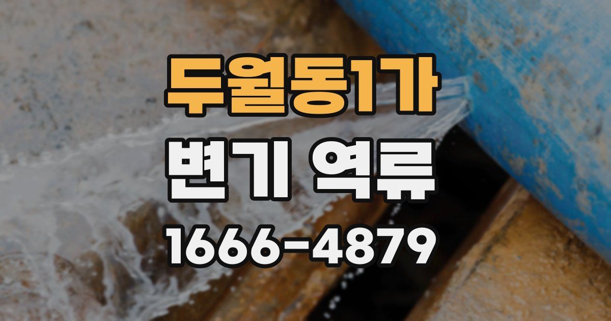 두월동1가 변기 역류