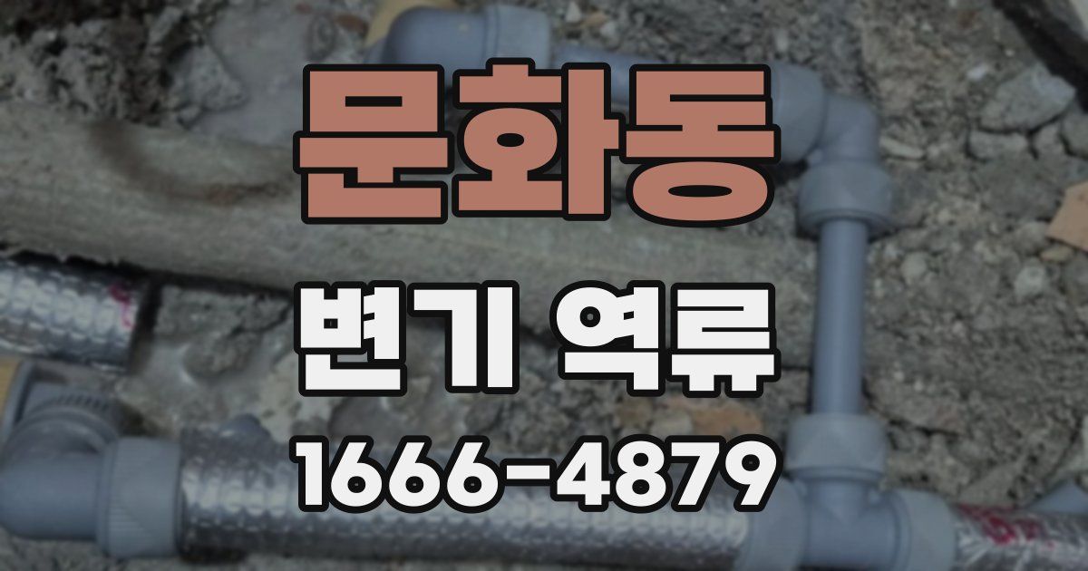 문화동 변기 역류