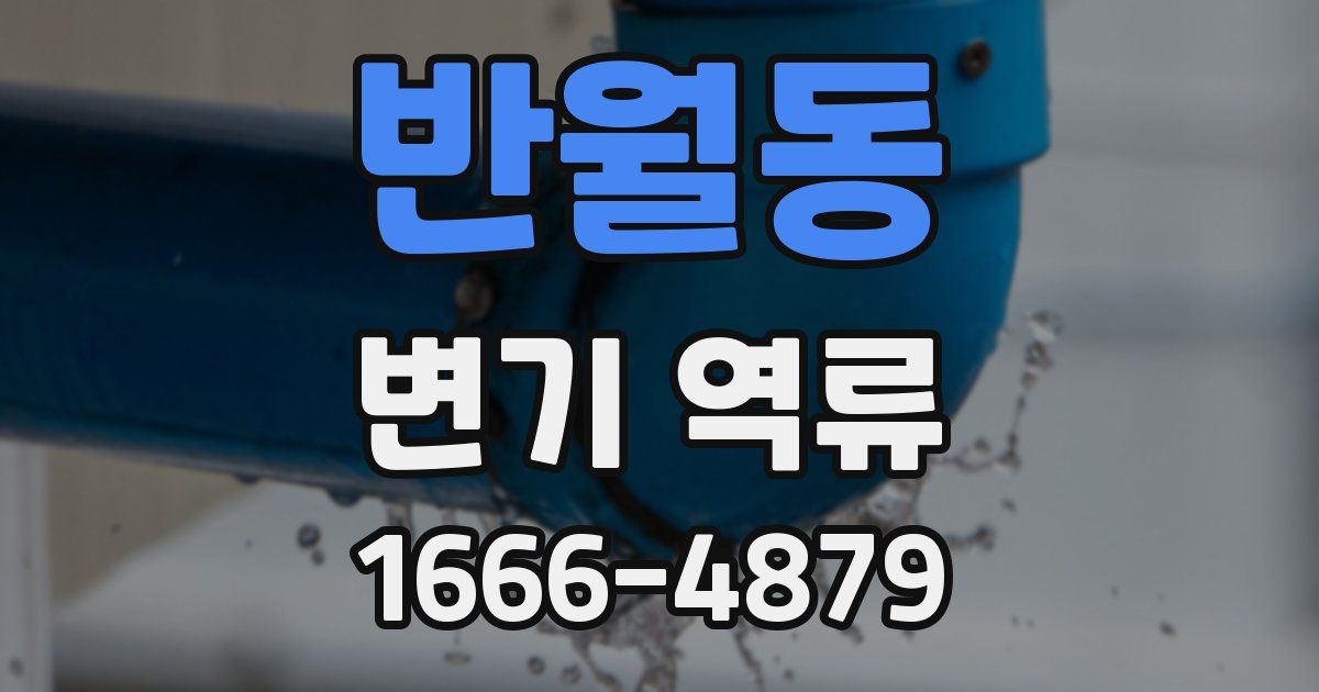 반월동 변기 역류