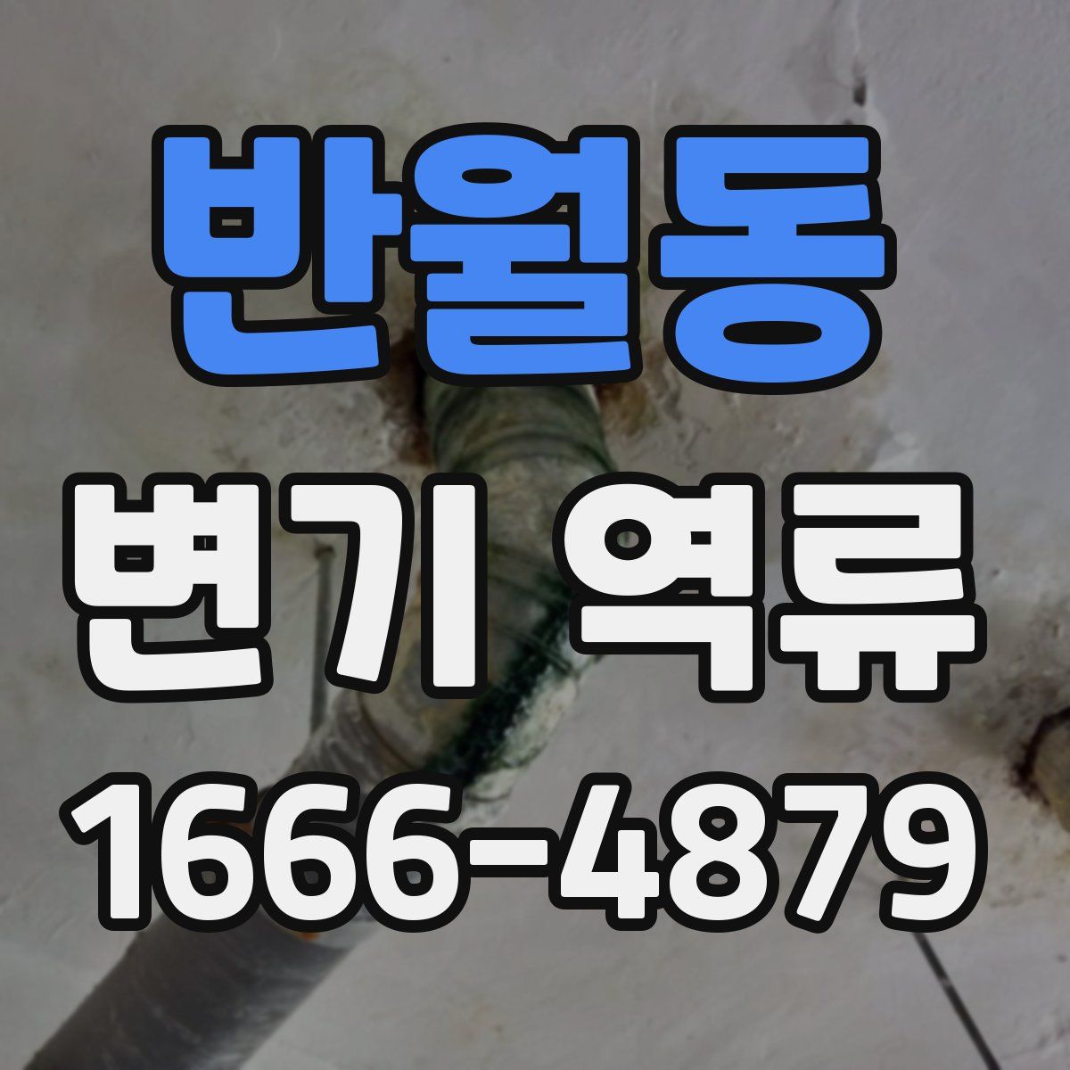 반월동 변기 역류