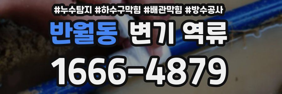 반월동 변기 역류