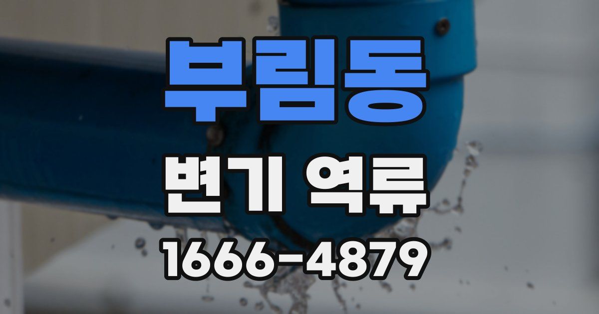 부림동 변기 역류