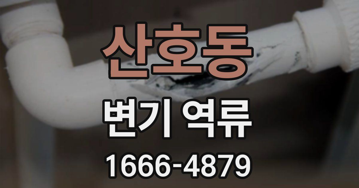 산호동 변기 역류