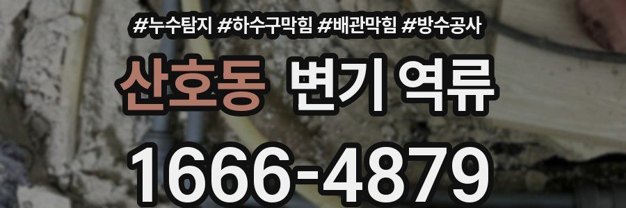 산호동 변기 역류