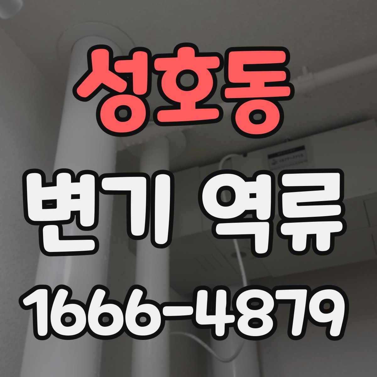 성호동 변기 역류