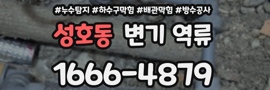성호동 변기 역류