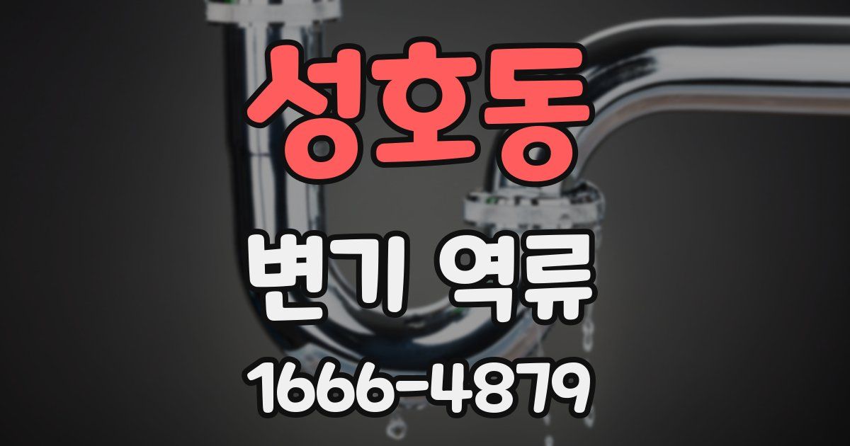 성호동 변기 역류