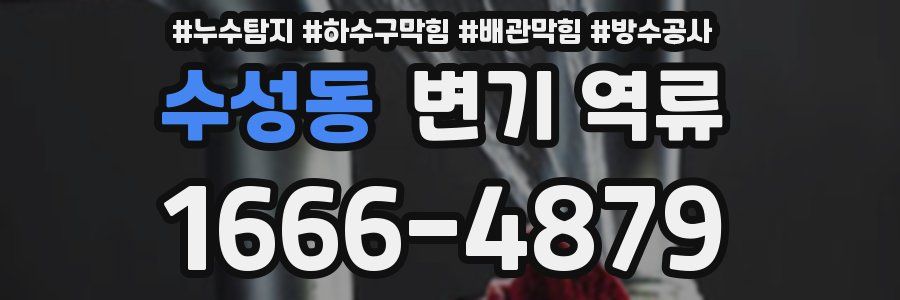 수성동 변기 역류
