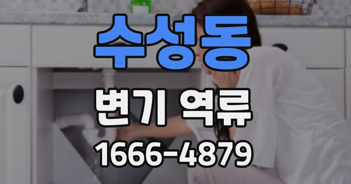 수성동 변기 역류