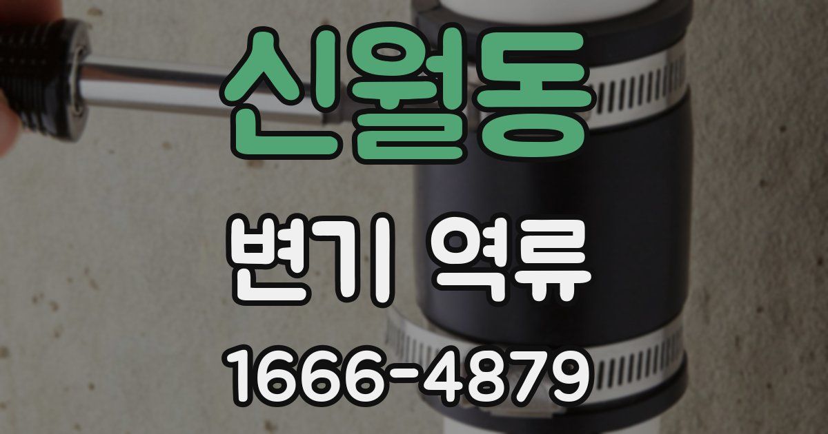 신월동 변기 역류