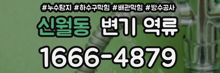 신월동 변기 역류